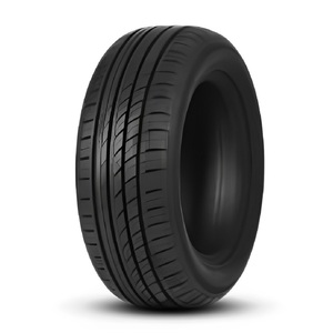 Pneu aro 16 DOUBLE COIN 195/55R16 DC-99 91H